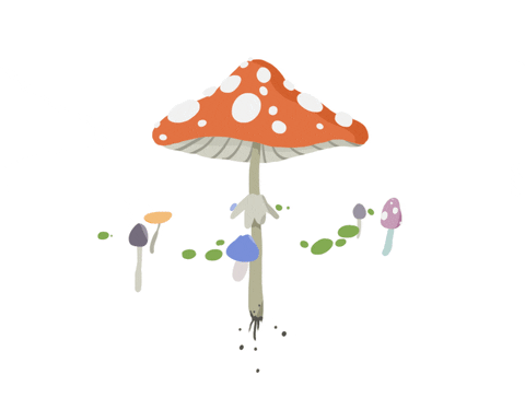 Amanita Mushroom Spinning