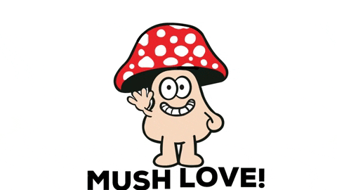 mushroom waiving and saying mush love