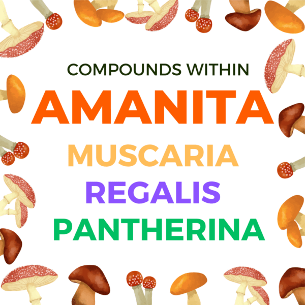 Compounds Within Amanita Mushrooms