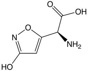 Ibotenic Acid Structure
