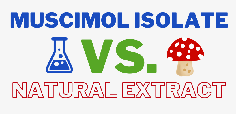Muscimol Isolate vs Natural Amanita Extract