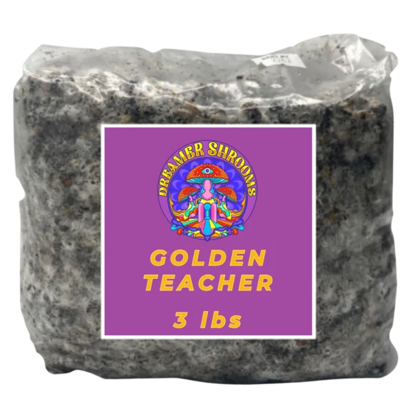 Golden Teacher Mycelium Bag