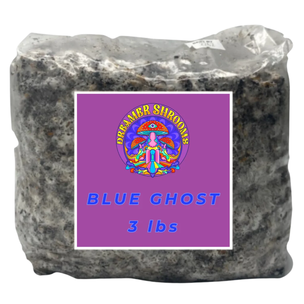 Blue Ghost Mycelium Bag