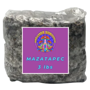 Mazatapec Mycelium Bag