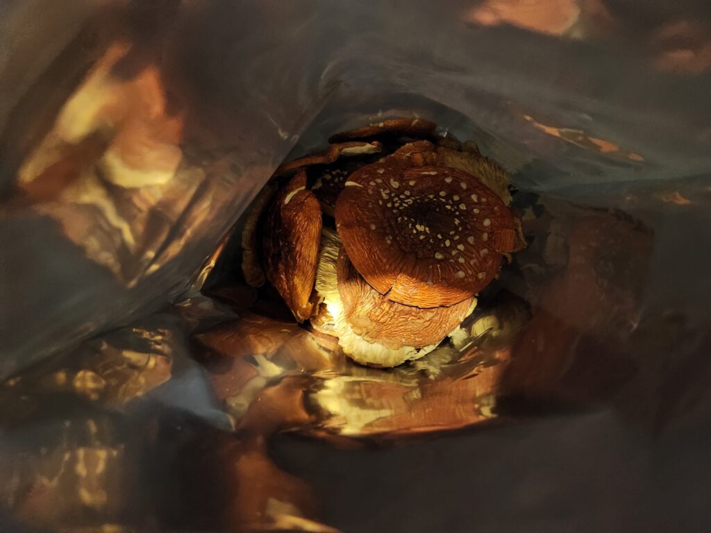 Image #1 from John Wasielewicz